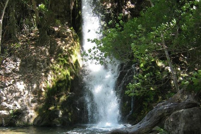 rincon-waterfalls-experience