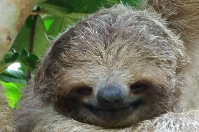 rio-celeste-and-sloth-sanctuary-combo-tour