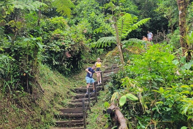 rio-celeste-waterfall-peace-tree-encounter-sloth-adventure