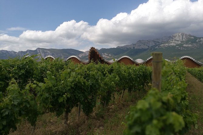 rioja-wine-private-tour-from-san-sebastian