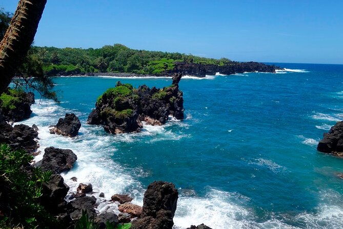 road-to-hana-rainforest-black-sand-beach-waterfalls-lunch-2