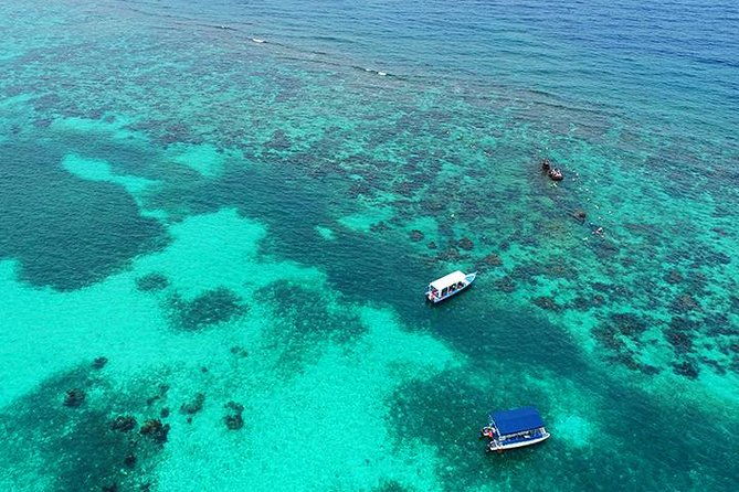roatan-3-stop-snorkeling-adventure-shipwreck-starfish-blue-channel