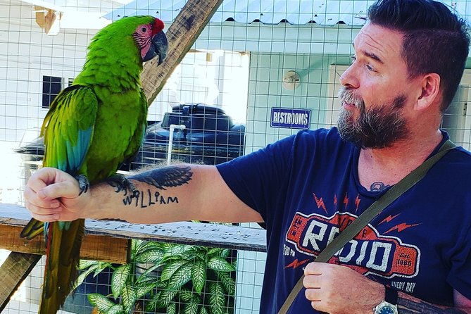 roatan-city-tour-viewpoints-landmarks-chocolate-and-rum-tasting