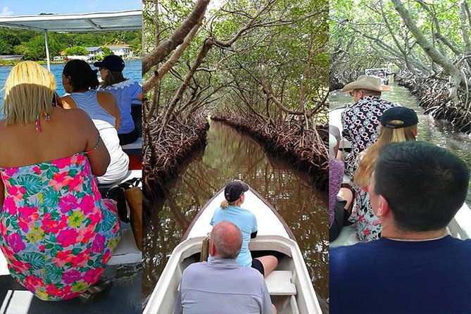 roatan-mangrove-tunnel-culture-tour-on-a-water-taxi-tuk-tuk