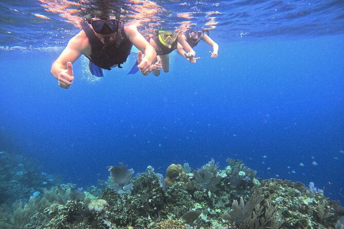 roatan-reef-snorkel-adventure