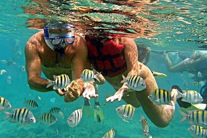 roatan-shore-excursion-snorkelling-sloths-monkeys-beach-break