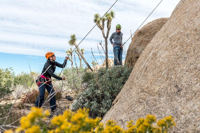 rock-climbing-trips-in-joshua-tree-national-park-6-hours