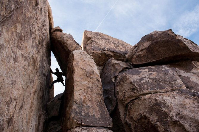 rock-climbing-trips-in-joshua-tree-national-park-8-hours