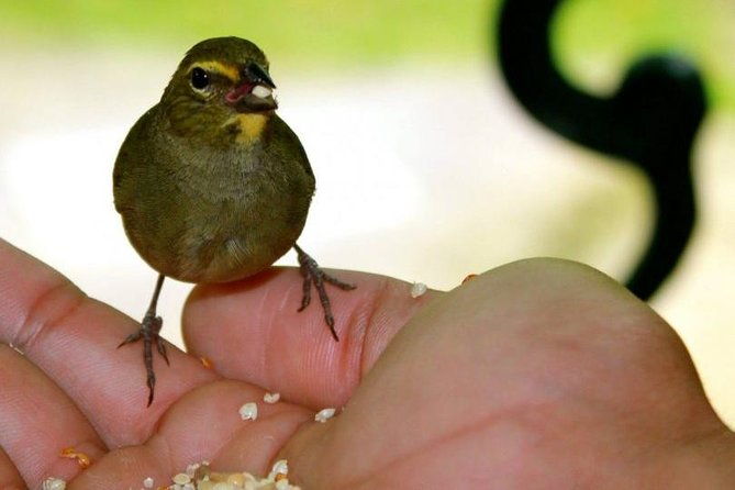 rockland-bird-sanctuary-tour-transportation-hotel-pick-up