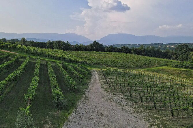 romantic-evening-tasting-with-the-best-prosecco