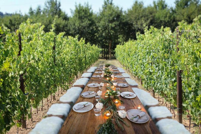 romantic-lunch-in-the-vine-rows-in-tuscany