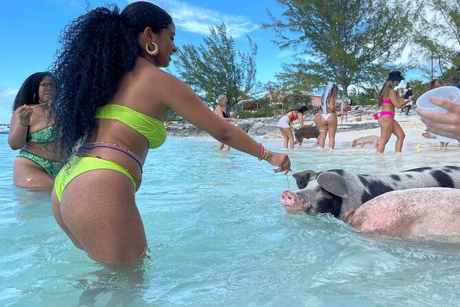 rose-island-private-beach-swimming-with-the-pigs