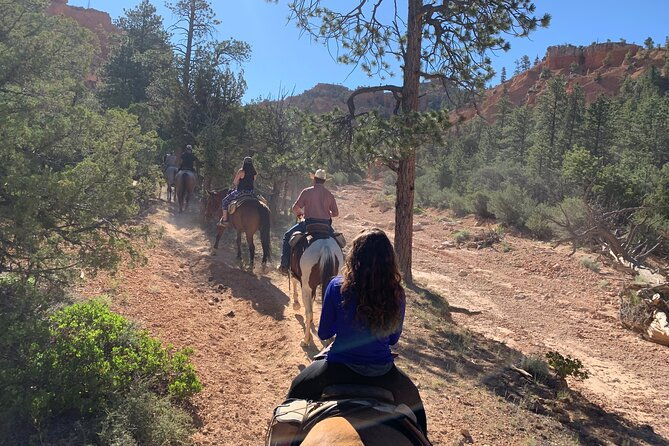 rubys-horseback-adventures-utah-half-day-ride