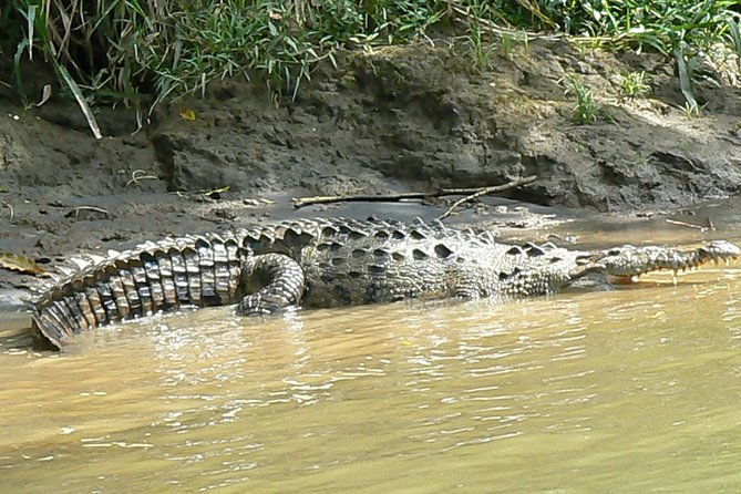 safari-boat-on-sarapiqui-river-with-lunch-from-san-jose