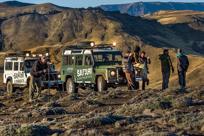 safari-experience-wildlife-steppe