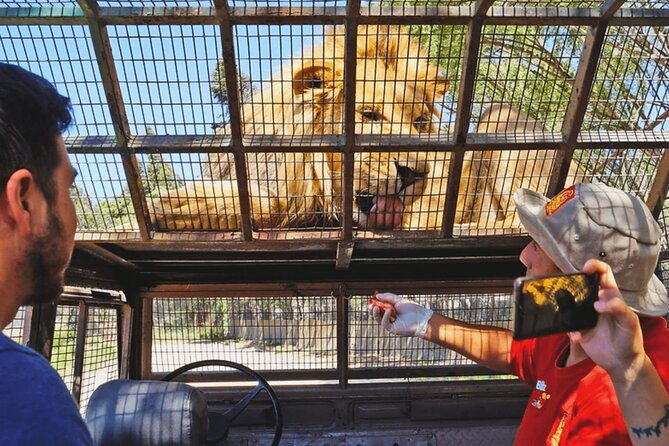 safari-park-wild-experience