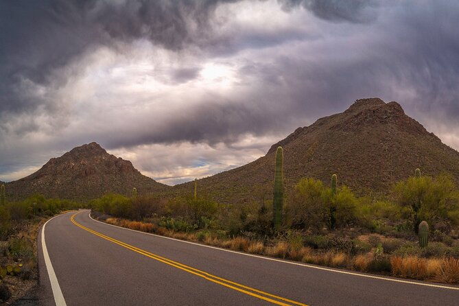 saguaro-national-park-self-guided-driving-audio-tour-2