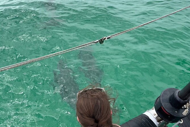 sailing-adventures-3-hour-activity-in-destin