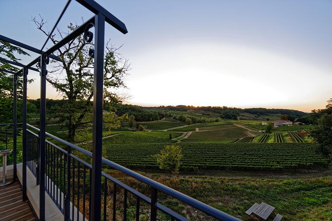 saint-emilion-grand-cru-classified-gourmet-tour-in-french-2