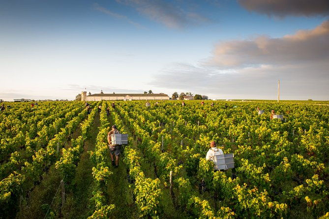 saint-emilion-private-full-day-wine-tour-from-bordeaux-2
