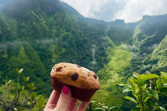 saint-kitts-highest-peak-hike-mount-liamuiga-volcano