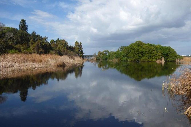 saint-petersburg-preserve-bike-tour