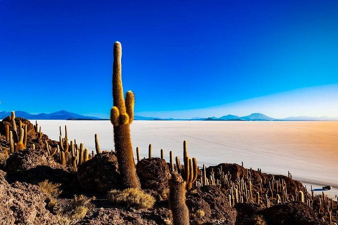 salar-de-uyuni-3-days-spanish-speaking-guide