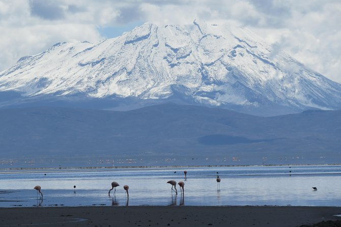 salinas-lake-national-reserve-private-tour