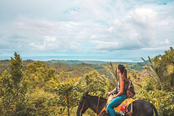 samana-whale-watching-waterfall-cayo-levantado-adventure