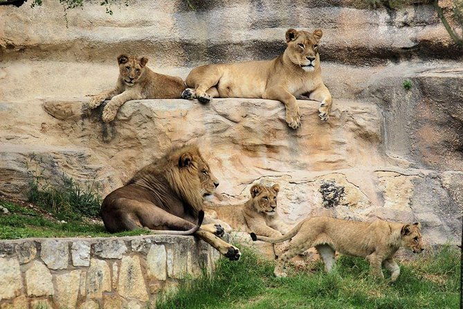 san-antonio-explorer-pass-save-up-to-50-includes-six-flags