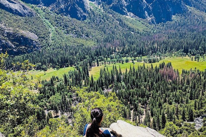 san-francisco-to-yosemite-one-way-transfer