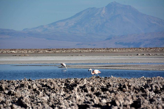 san-pedro-de-atacama-4-days-magic-desert-adventure