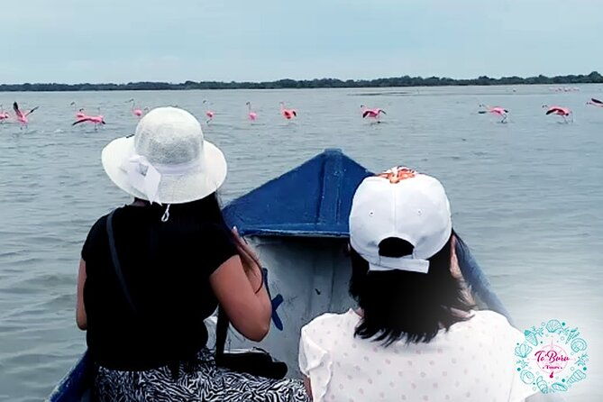 sanctuary-los-flamingos-tour