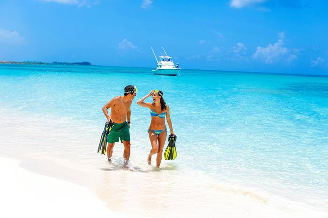 sandy-toes-bahamas-original-swimming-pigs-and-snorkeling