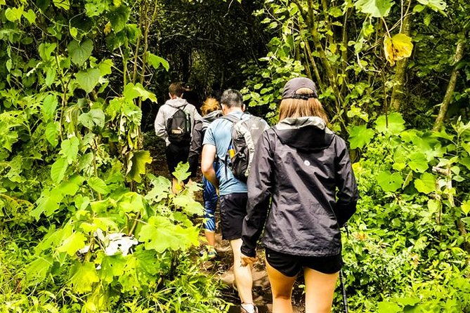 santa-ana-volcano-hike-tour-from-surf-city