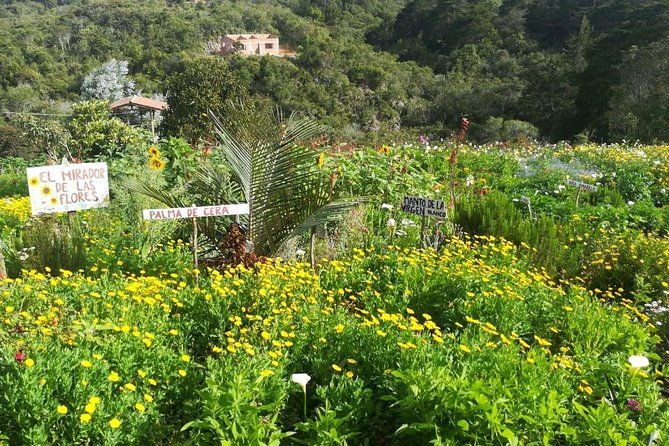 santa-elena-trip-silleteros-and-flower-farm-cultural-tour