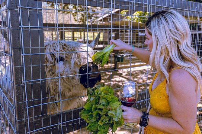 santa-ynez-wine-tour-includes-tastings-lunch-from-santa-barbara