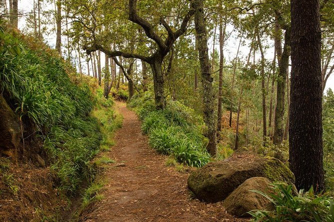 santana-combo-expedition-jeep-tour-levada-walk-everyday