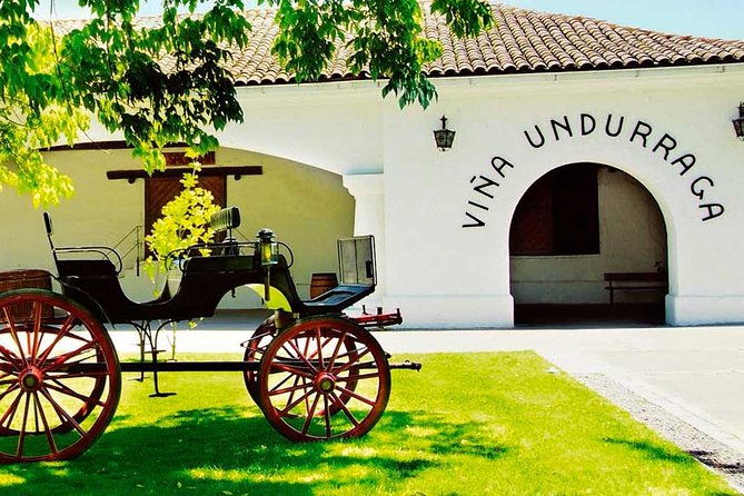 santiago-half-day-visit-to-undurraga-vineyard-entrance-and-transport-included