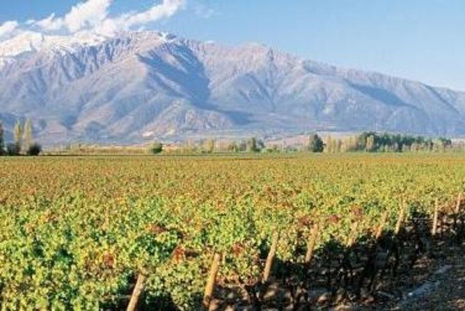 santiago-super-saver-2-day-city-sightseeing-and-concha-y-toro-winery-tour