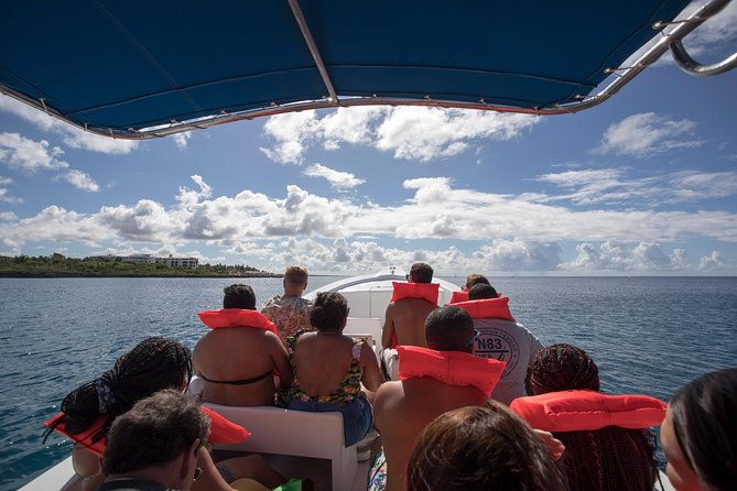 saona-island-day-trip-from-punta-cana-with-lunch-and-open-bar