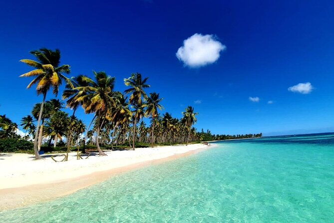 saona-island-excursion-small-group-on-motorized-trimaran