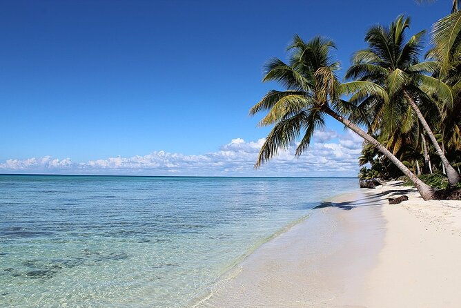 saona-island-full-day-tour-from-santo-domingo