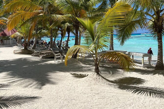 saona-island-full-day-tour-with-buffet-lunch-paella-open-bar