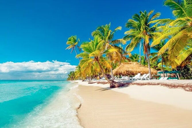 saona-island-tour-from-punta-cana-with-lunch-open-bar-pickup