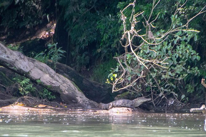 sarapiqui-river-jungle-kayak-tour