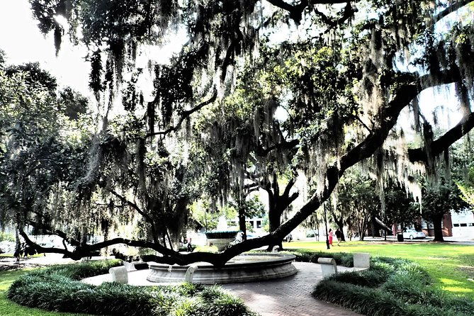 savannah-scavenger-hunt-adventure