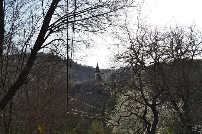 saxon-heritage-in-transylvania-day-trip-from-cluj-napoca