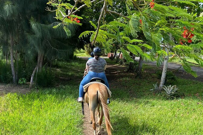 scenic-horseback-riding-tour-from-san-juan