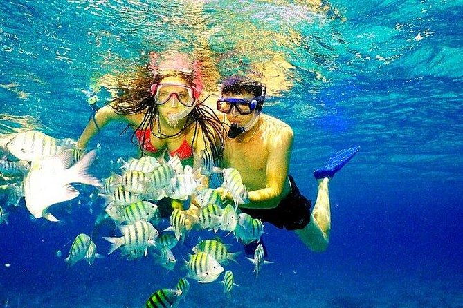 scuba-diving-at-catalina-island-2-tank-2-spots
